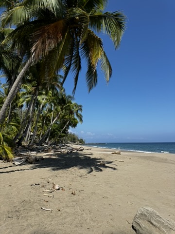 0937F459-3D6B-4F49-8CD6-93893C6AC401_4_5005_c
